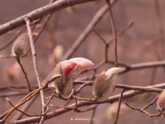 -东华门大街小区