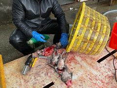 -天津金元宝滨海农产品交易市场(共发大道)