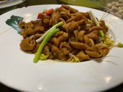 -优之名鹅城