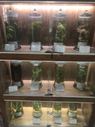 点击看大图 -河南中医药大学第一附属医院·皮肤美容