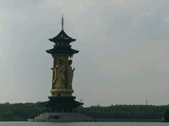 -溱湖国家湿地公园