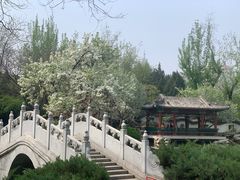 -宣武艺园