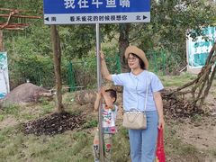 -牛鱼嘴原始生态风景区