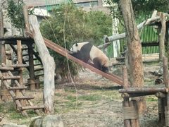 -武汉动物园