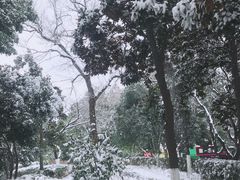 -常州古运河南大街文化旅游区-人民公园