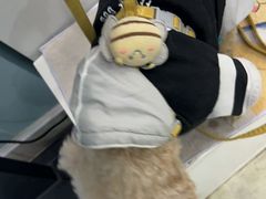 -纳吉亚猫专科动物医院·北北分院