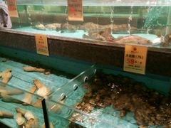 -西贝海鲜汇(槐安路店)