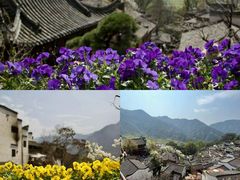 -篁岭景区