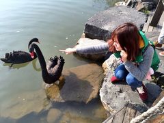 怡沁园度假村-上海怡沁园度假酒店