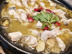 藤椒鲢鱼片-陶德砂锅居(育才路店)