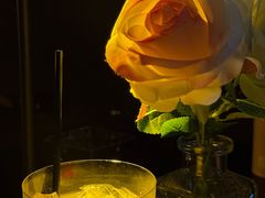 -Mx.cocktail bar
