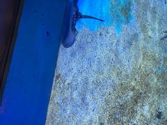 -绿色星球动物主题公园