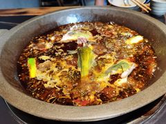 -石锅苗苗鱼(武汉首店)