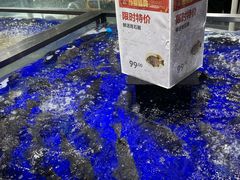 -盒马鲜生(新都心店)