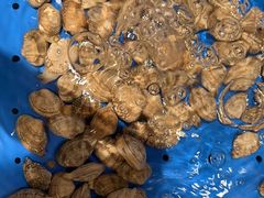 -“香”全日餐厅·株洲大汉希尔顿酒店