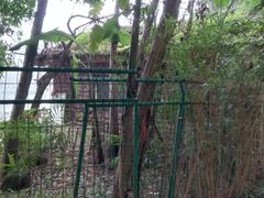 -重庆彩云湖湿地公园