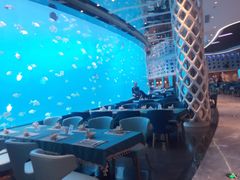 -瑞德姆美人鱼海底演艺主题餐厅(亚龙湾店)