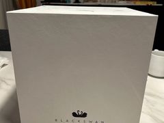 -BLACKSWAN黑天鹅(环球店)