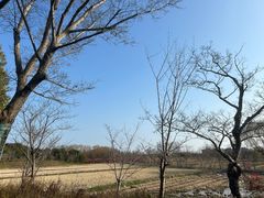 -广富林郊野公园