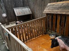 -HERRE·FARM 赫尔露营农场·团建聚会包场