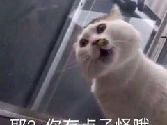 -醉面(五道口启迪大厦店)
