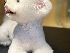 -听TA说宠咖·宠物生活馆(天韵水岸店)