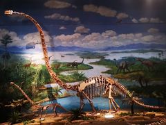 -自贡恐龙博物馆