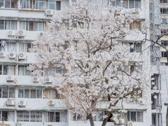 -红星桥(地铁站)