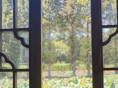 -军山湖云水间水上餐厅(进贤店)