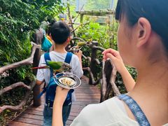 -ZOO COFFEE动物园咖啡(红山森林动物园店)