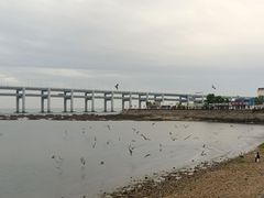 -黑石礁公园