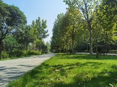 -大渡口区义渡公园