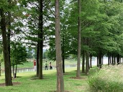 -羊亭河湿地公园