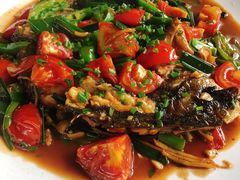 剑骨鱼啤酒炖-生态苑农庄(十里画廊遇龙河店)