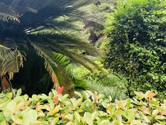 -南岳衡山风景名胜区-南岳大庙