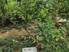 -广州神农草堂中医药博物馆