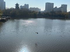 -迎泽公园
