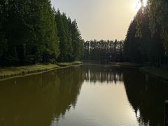 -黄海国家森林公园