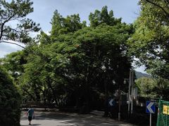 -梧桐山风景名胜区