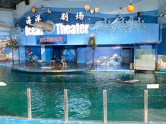 -苏州海洋馆