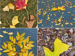 -苏州河梦清园环保主题公园