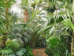 -国家植物园南园