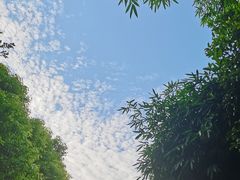 -贵阳市花溪国家城市湿地公园
