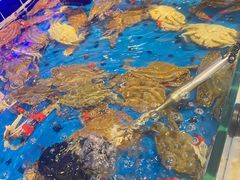 -川骄海鲜自助(河东店)