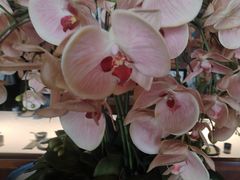 -八府香鸭·啫啫煲(华山路店)