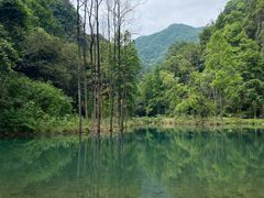 -五泄景区