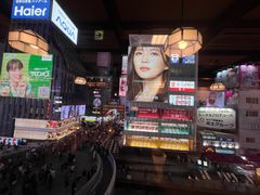 -蟹道乐(道顿堀本店)