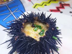 -魚當家