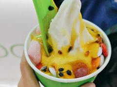 -Salud撒露欧洲冻酸奶(五道口购物中心店)