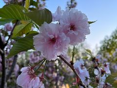 -长白岛森林公园